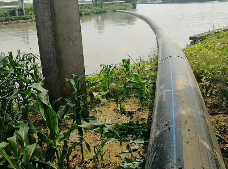 Proyecto de riego agrícola 2022 en Shanghai